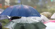 Met Office forecasts rain after driest July on record