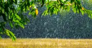 Met Office names 14 UK areas facing heavy rain on Friday