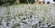 Met Office warns Brits to brace for frost and chilly night