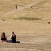 Met Office warns sixth heatwave could hit UK in weeks