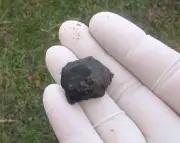 Meteorite Hunters Seek Fragments in New Zealand