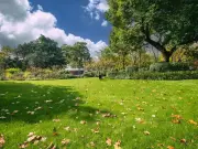 Miracle-Gro Autumn Lawn Care on Sale: Shoppers Swear by It for 20 Years