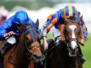 Mirror launches free daily horse racing pullout with more tips