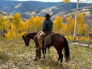 Modern range riders help livestock and predators coexist in US West