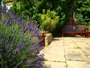 Monty Don's August Task for Healthier Lavender and Hedges