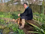 Monty Don's crucial tomato watering advice for August
