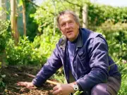 Monty Don's vital August tip for prepping plants for next summer