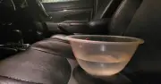Motorists urged to drive with a bowl of water on passenger seat