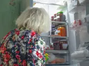 Move Eggs to Fridge in UK Heatwave to Prevent Spoilage