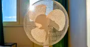 Move Your Fan to Beat the Heat: Simple 10-Second Fix