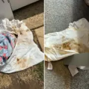 Mum denied £1,800 refund after 'horrendous' Haven holiday park ordeal