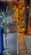 Mum puts Christmas tree up five months early in 30-degree heatwave