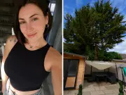 Mum's fury as neighbour's tree blocks sun and ruins garden