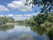Murder probe after human bones found in west London park