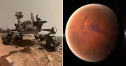 NASA Curiosity rover finds mysterious honeycomb pattern on Mars