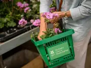 National Trust makes all shop plants 100% peat-free