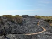 National Trust warns visitors to avoid Formby dunes after major blaze
