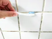 Natural bathroom item prevents mould in humid conditions