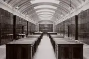 Natural History Museum to reopen hidden gallery closed since WWII