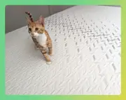 Nectar Classic memory foam mattress review: an outstanding budget buy