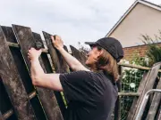 Neighbour Demands Fence Style Change: Legal Rights Explained