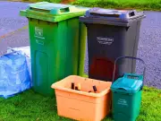 Neighbours Keep Filling Her Bins, Kitchen Stinks