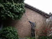 Neighbour's tree blocking light? Your legal rights explained