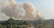 New Forest fire: Drivers told to flee A31 blaze as 26 fire engines battle flames