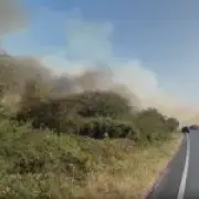 New Forest fire: Drivers told to flee cars 'if you want to stay alive'