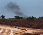 New Forest wildfire battle could last days as UK faces hottest summer