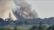New Forest wildfire forces A31 closure as 26 crews battle blaze
