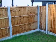 New homeowner stressed after neighbour demands hedges on shared fence