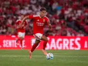 Newcastle's Dedic 'won Benfica fans over' instantly, says ex-star