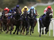 Newsboy's Nap Betweenthesticks Can Land Pontefract Prize Again