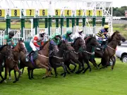 Newsboy's NAP Call Margot can answer Catterick 5f puzzle