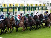 Newsboy's Nap Halmede to strike at Catterick with Doralee double