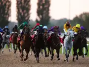 Newsboy's Thursday tips: Massimo Blue Nap at Southwell, Riddikulus next best