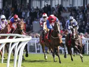 Newsboy's Tuesday racing tips: Amber Hamur Nap at Musselburgh