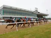 Newsboy's Tuesday tips: Percy's Lad NAP at Wolverhampton