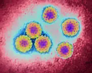 NHS England offers free home cervical cancer testing kits to millions