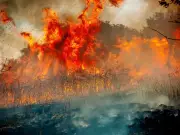 No 10 defends 'entirely right' use of emergency alerts after wildfire warning