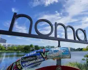 Noma to Reopen Under New Chef After Abuse Accusations