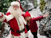 North East garden centre unveils 'best ever' Christmas with North Pole village