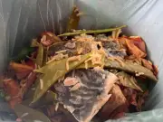 North Tyneside Council apologises for unwanted food caddies
