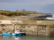 Northumberland 250 road trip: 77% of drivers haven't visited