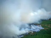 Northumberland Wildfire Risk: Hexham Among UK's Most Vulnerable