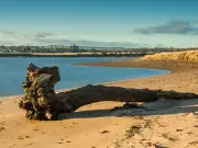 Northumberland's Warkworth Beach named one of UK's best for dogs