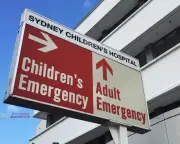 NSW urges public to avoid EDs after record winter day