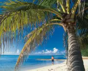 Offshore tax havens thwart UK transparency push, critics say