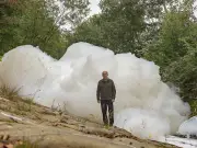 Oldham fire: hundreds of fish die as foam pollutes River Tame